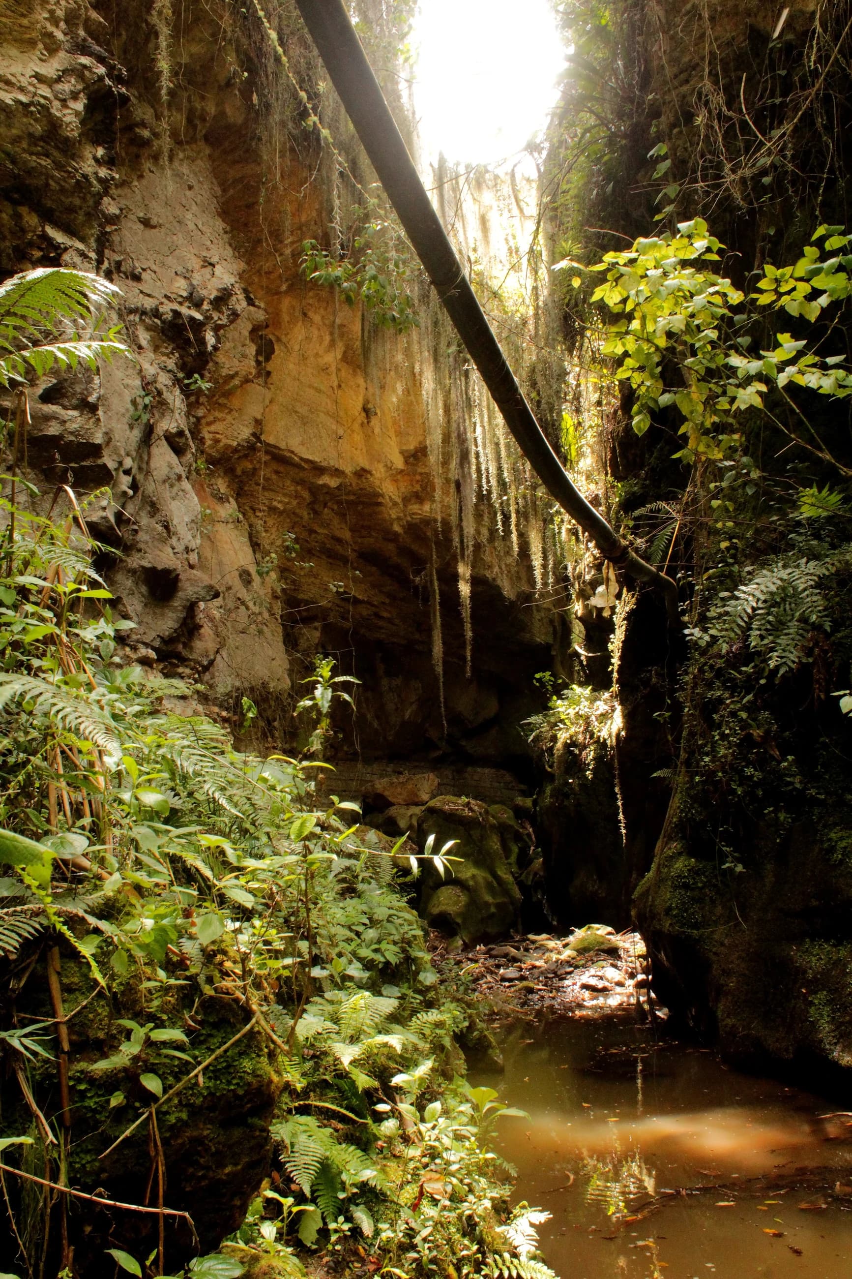 El cañón de arenisca, con el arroyo pasando por el fondo