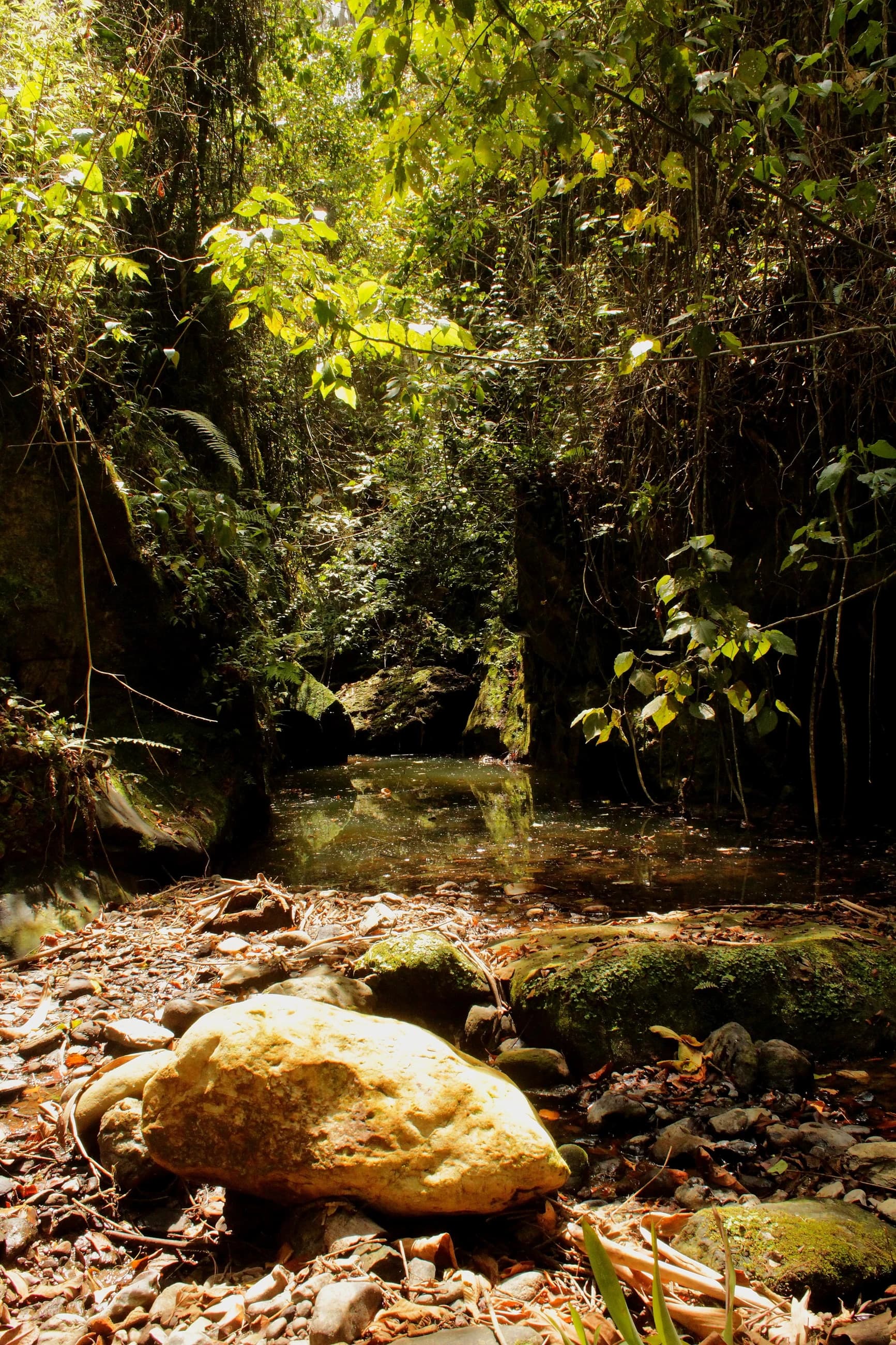 El lecho de piedra del arroyo